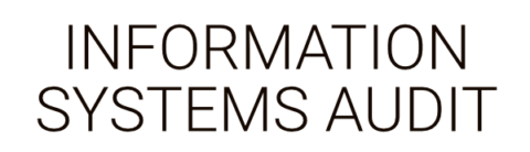 Information Systems Audit by Business as an Art