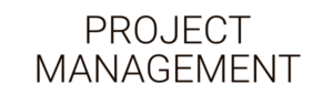 Project Management by Business as an Art